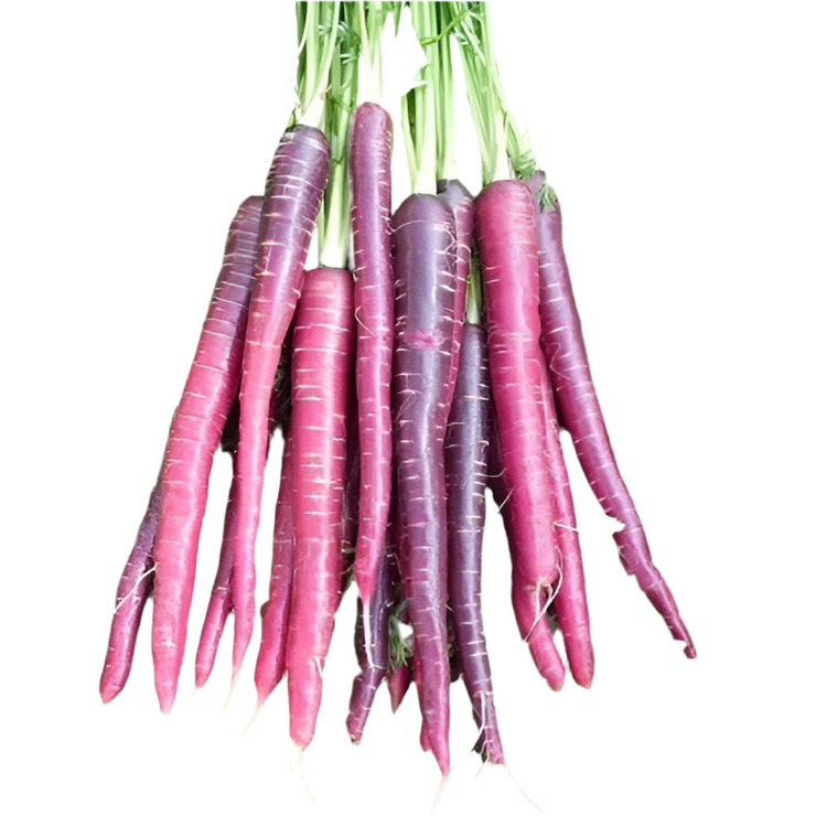 Purple Carrot - ORGANIC - Heirloom Vegetable - 50 Seeds