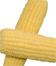 Sherbet F1 Sweetcorn - Heirloom Vegetable - 10 Seeds