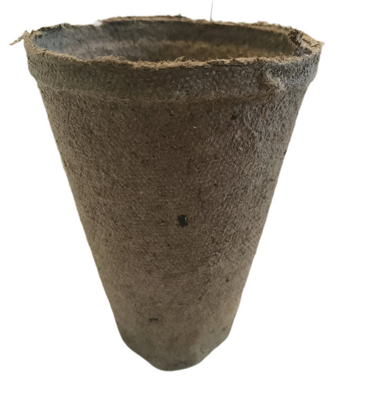 Jiffy Professional Peat Pots - 11.5cm x 8cm Tall Pots - Pack of 10 Pots