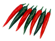 Passion F1 Korean Chilli Pepper - Capsicum Annuum - 10 Seeds