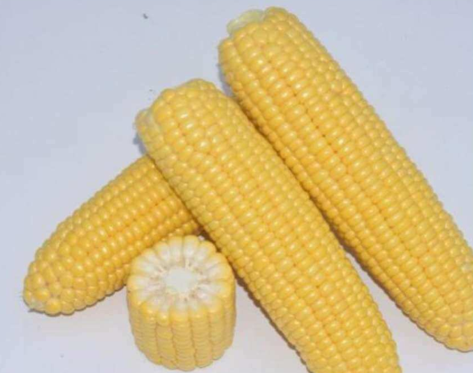 Caramelo F1 Sweetcorn - Heirloom Vegetable - 10 Seeds