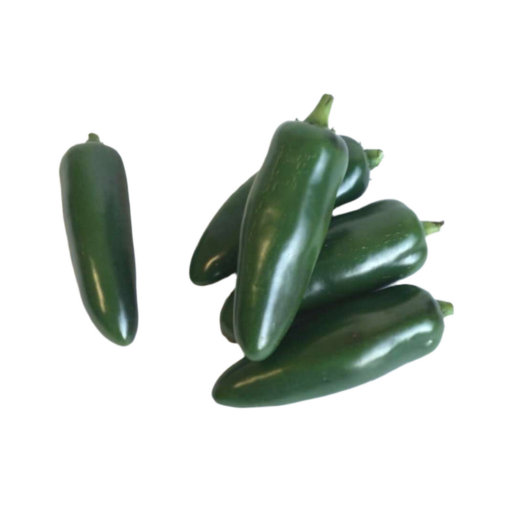 Giant Jalapeno Chilli Pepper Bravo BLS F1  - Capsicum Annuum - 5 Seeds - The Patio Vegetable Collection