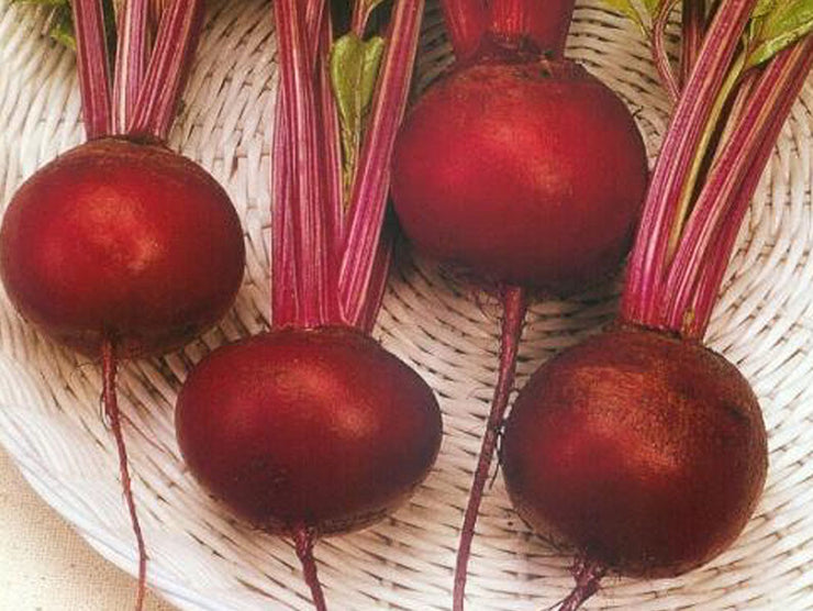 Globe Dark Red Beetroot - Bulk Vegetable Seeds - 200 grams