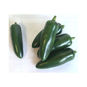 Giant Jalapeno Chilli Pepper Bravo BLS F1  - Capsicum Annuum - 5 Seeds - The Patio Vegetable Collection