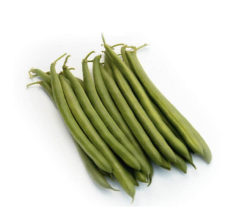 Lunar Bush Beans - Phaseolus Vulgaris - 10 Seeds