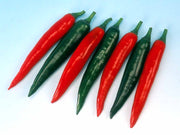 Passion F1 Korean Chilli Pepper - Capsicum Annuum - 10 Seeds