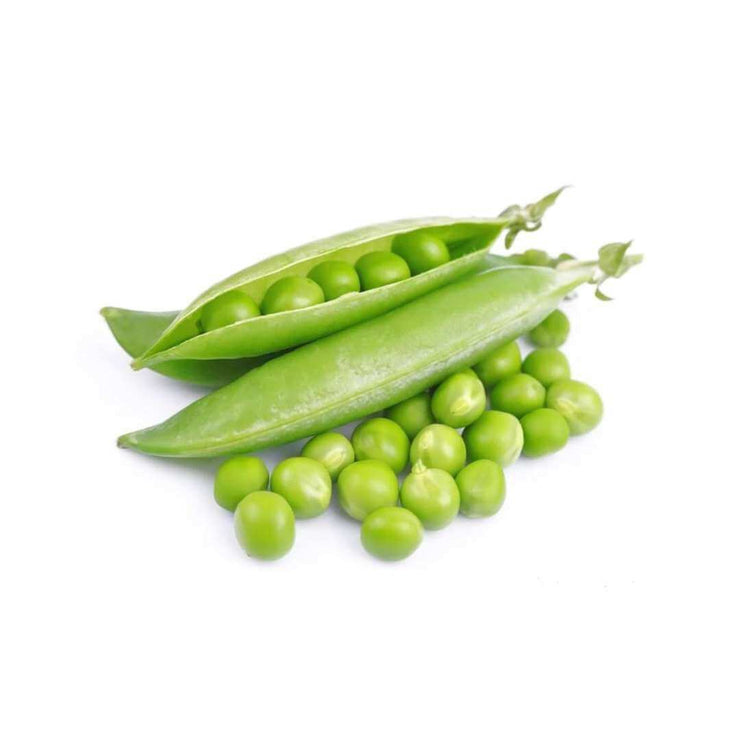 Bolero Shelling Green Peas - Pisum Sativum - Vegetable - 25 Seeds