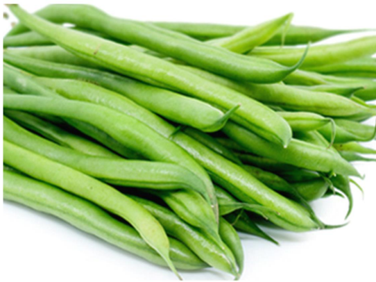 World Cup Bush Beans - Phaseolus Vulgaris - 10 Seeds